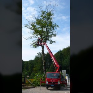 Camionnette-nacelle 22m JIB