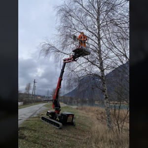 Raupen Teleskopbühne 12m