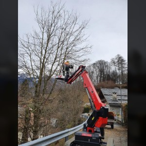 Telescopic crawler boom lift 12m