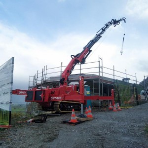 Grue araignée 30m