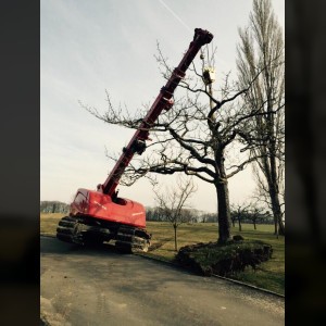 Grue automotrice sur chenilles 20m