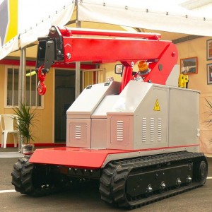 Electric crane 2 t