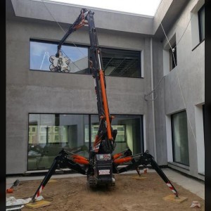 Grue araignée 16m